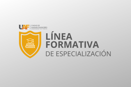 Linea Formativa Línea de Especialización